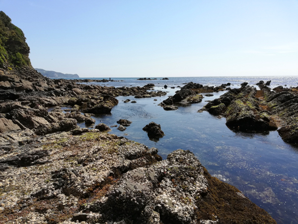 IMG_20250427_141205