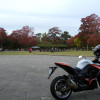 Z1000奈良公園ぶらっと紅葉ツーリング
